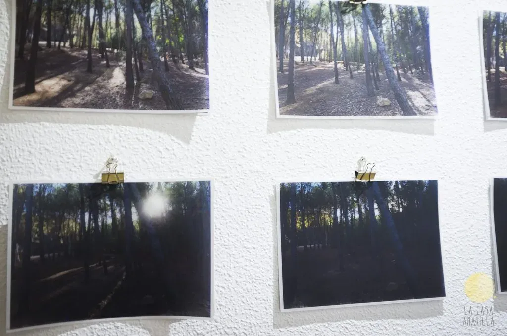 lcmalaga-exporesidentes-03