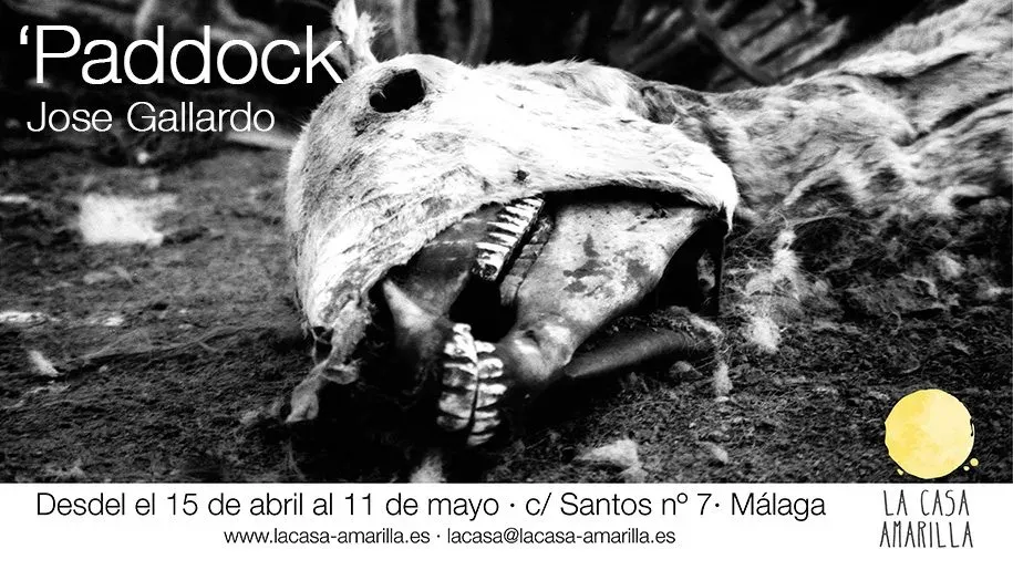 Paddock-Cartel-915x515