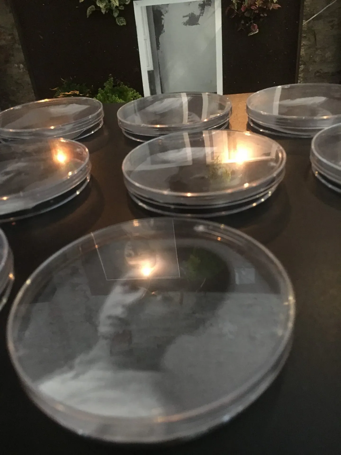 13235638_1221978714503708_2893931741656443955_o