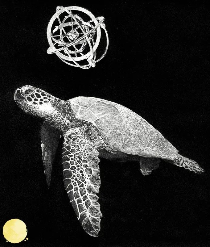 tortuga
