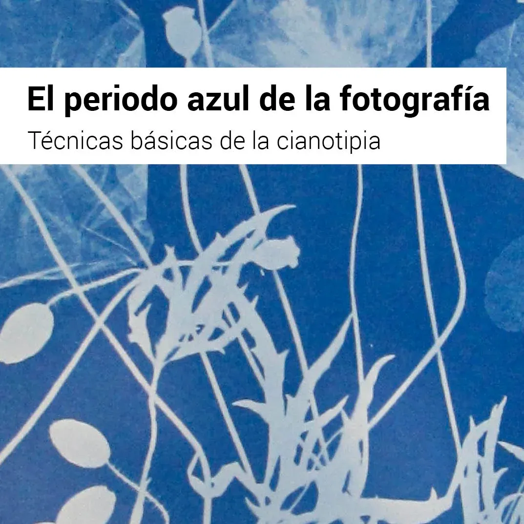 cuadradomicrocianotipia